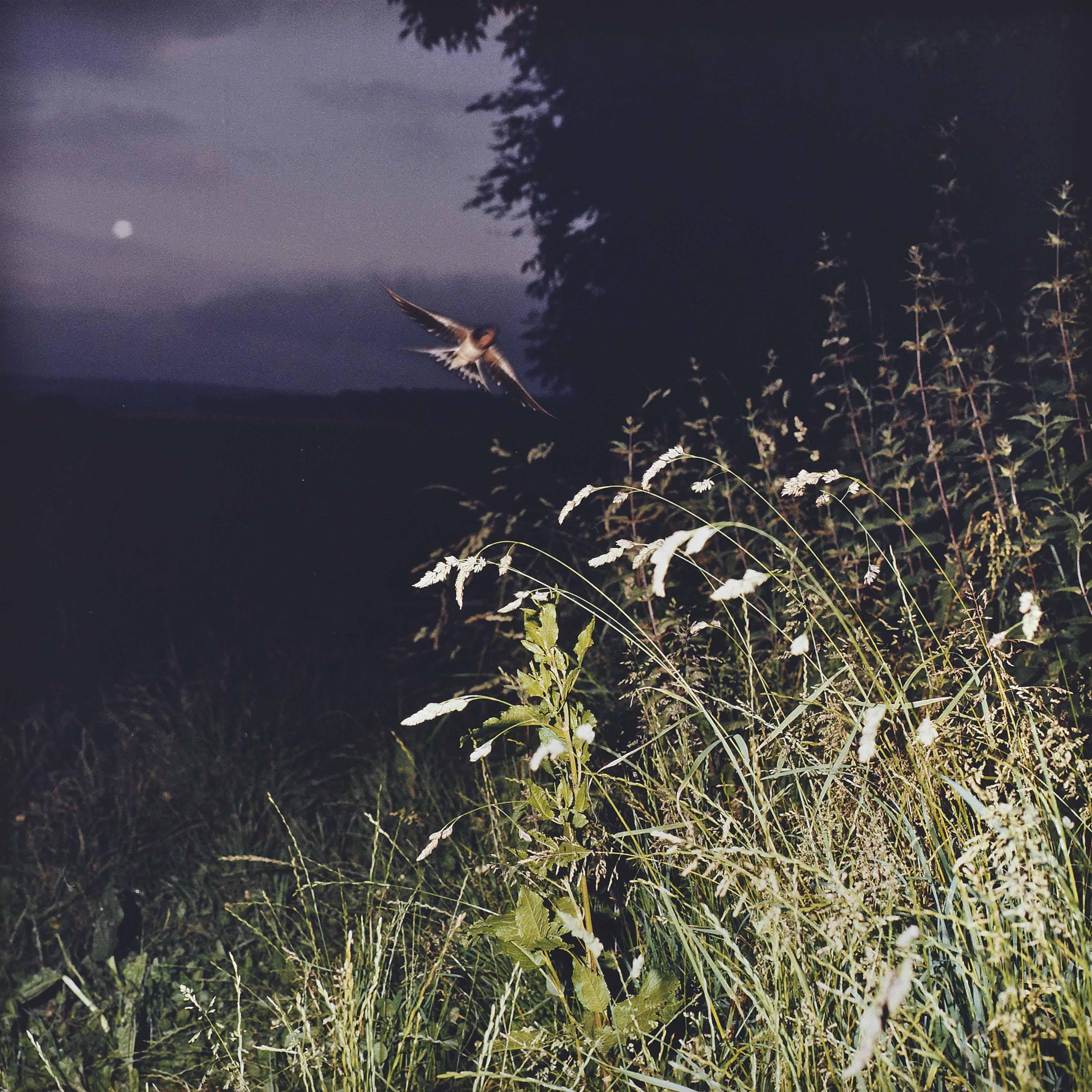 Jean-Luc Mylayne - No. 1 juillet 1978