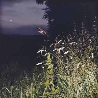 Jean-Luc Mylayne - No. 1 juillet 1978