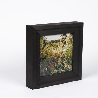 Jean-Luc Mylayne - No. 37 - 38, Août (für Parkett 50/51).