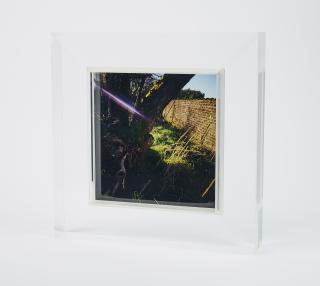 Jean-Luc Mylayne - No. PO-65, Face to Face (für Parkett 85).