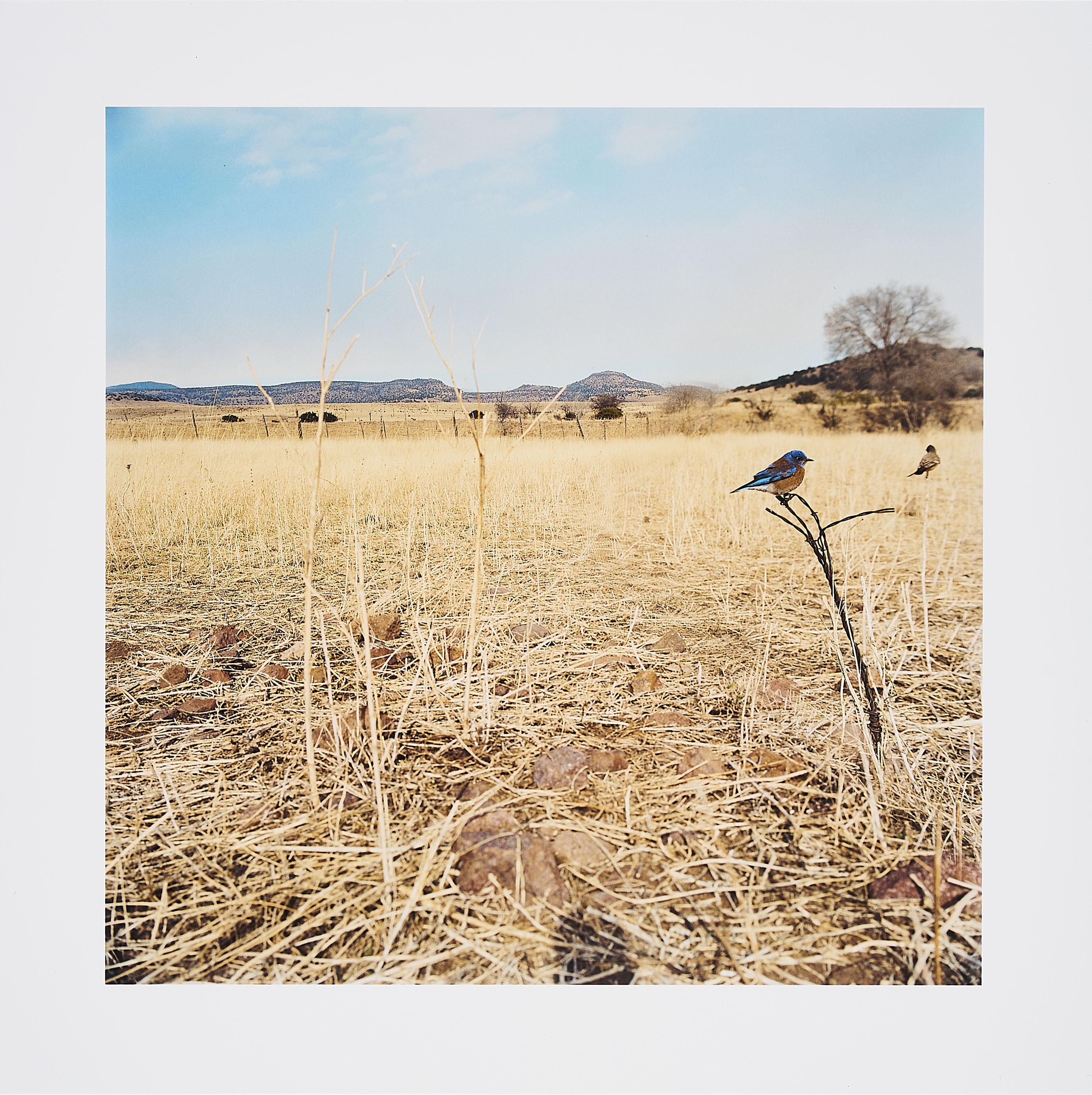 Jean-Luc Mylayne - TOGETHER A17, January, February, March, 2007 (für Parkett 100/101).