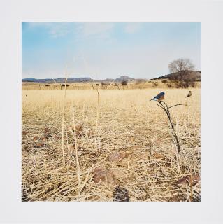 Jean-Luc Mylayne - TOGETHER A17, January, February, March, 2007 (für Parkett 100/101).