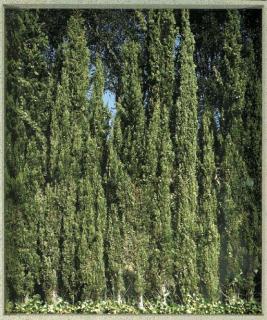 Jean-Marc Bustamante - Stationnaire II