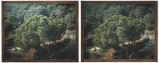 Jean-Marc Bustamante - Tableau N°39, 1980-1990