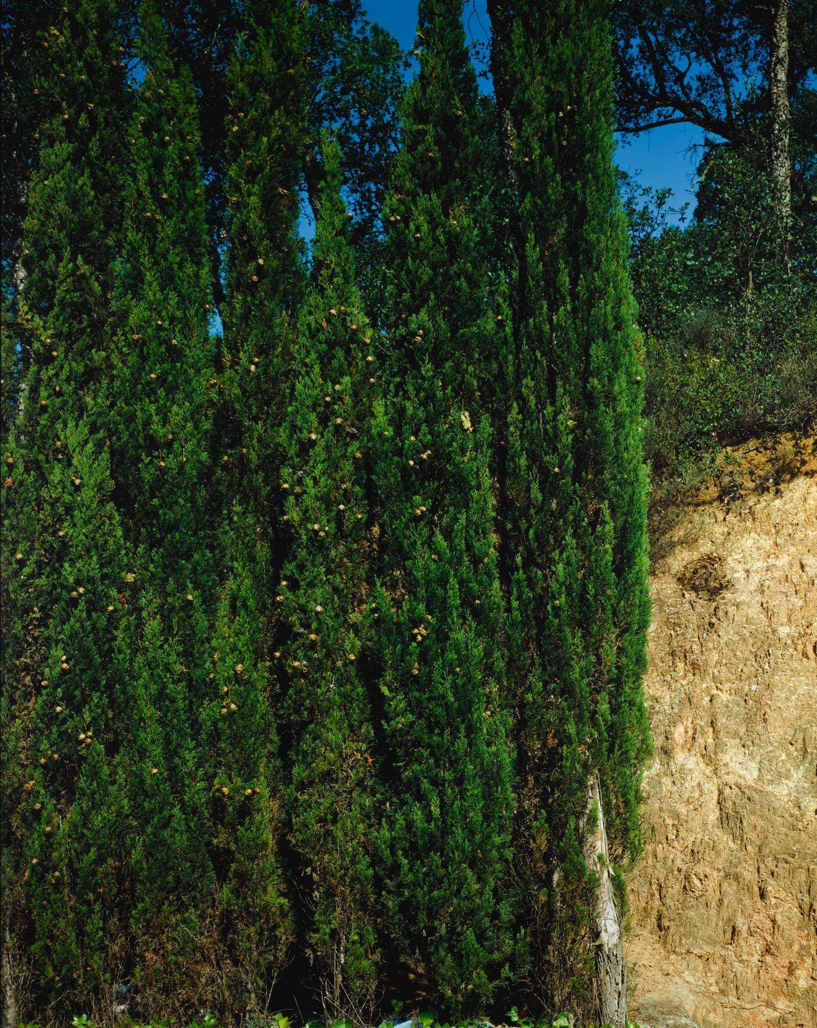 Jean-Marc Bustamante - Tableau T.126.91 (Cypres)