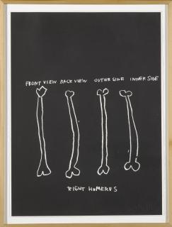 Jean-Michel Basquiat - Anatomy: 18 Prints