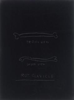 Jean-Michel Basquiat - Anatomy: One Plate