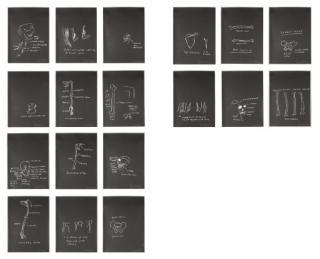 Jean-Michel Basquiat - Anatomy