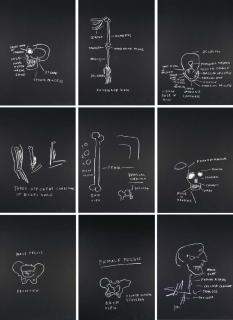 Jean-Michel Basquiat - Anatomy