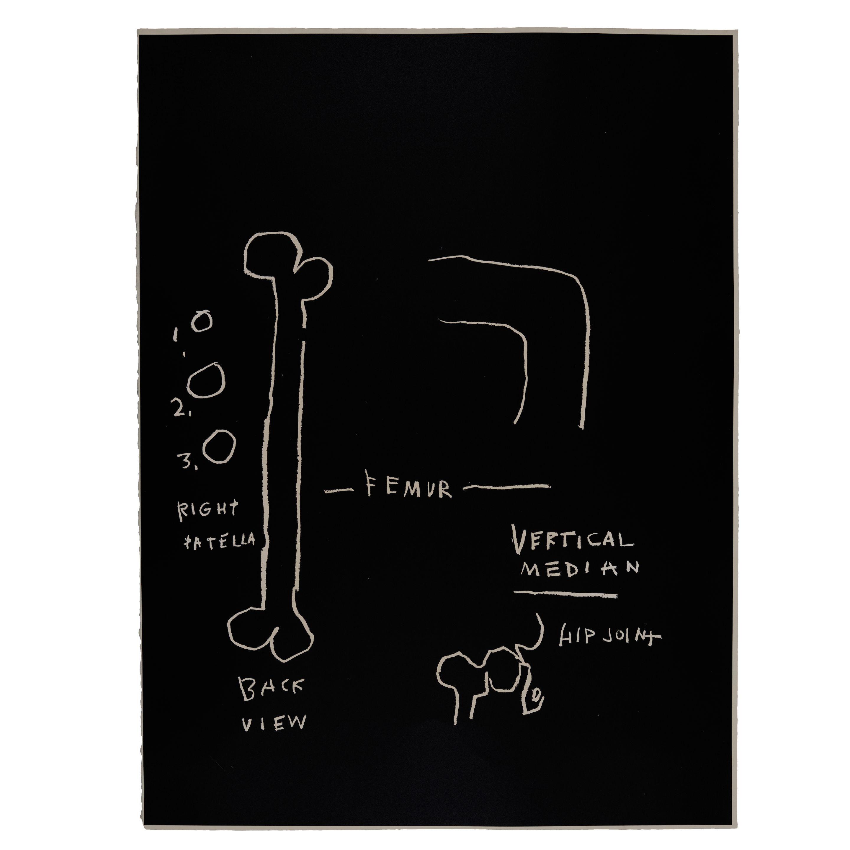 Jean-Michel Basquiat - Femur, from Anatomy