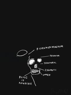 Jean-Michel Basquiat - Untitled