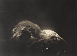 Jean Painlevé - Le Pieuvre, 1927 Oeil De Crabe, 1930Two Silver Prints. Each