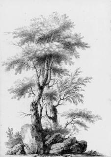 Jean Pillement - Two studies of trees