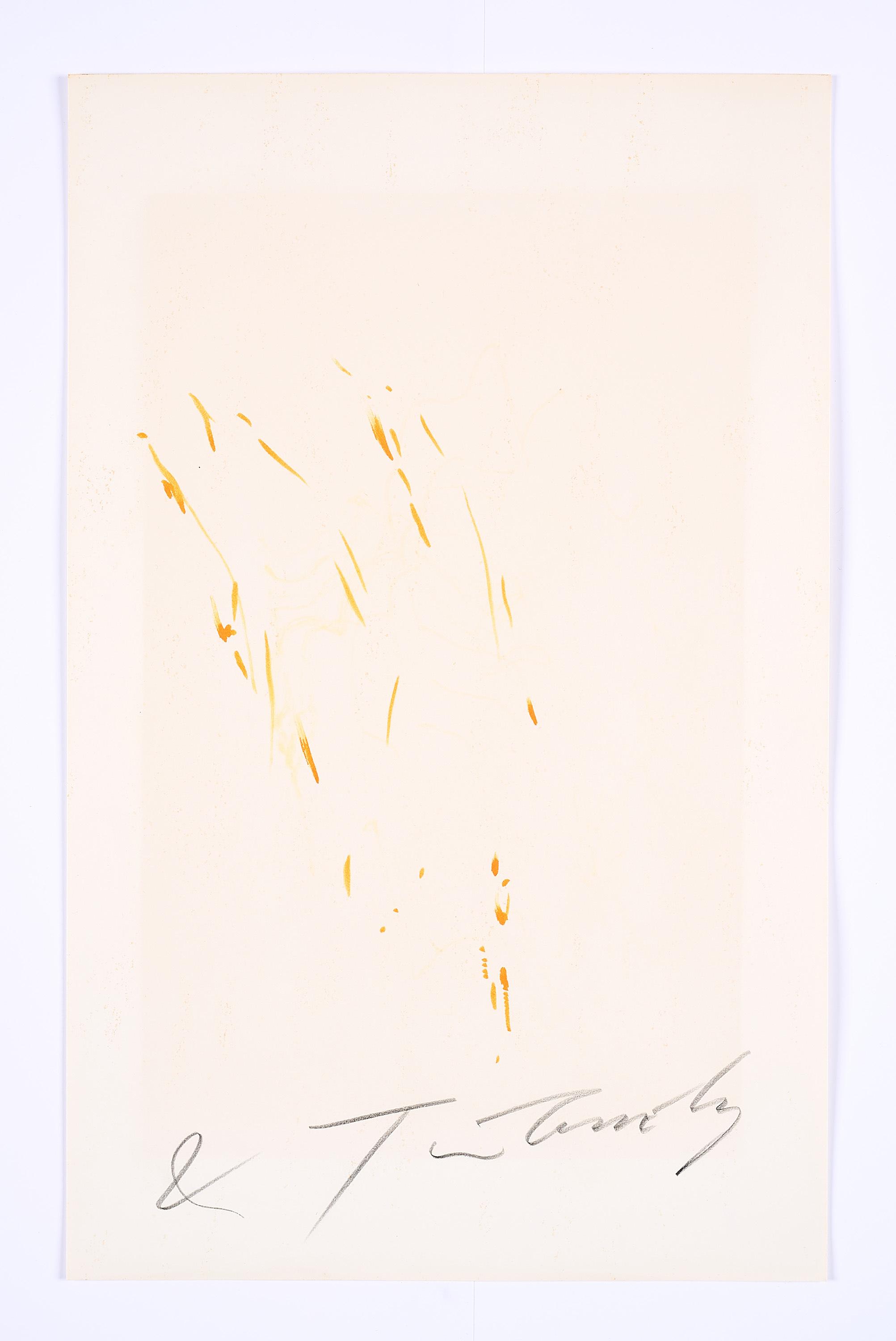 Jean Tinguely - Meta-Matic No. 6.