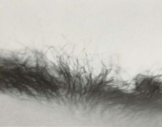 Jeanne Dunning - Studies After Untitled Landscape, 1987