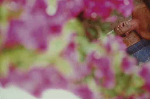 Jeff Burton - Untitled #113 (Bougainvillea), 2000