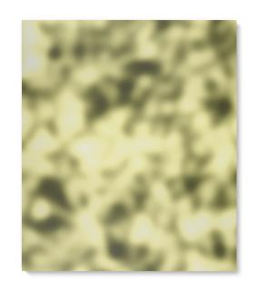 Jeff Elrod - Echo Painting (Yellow)