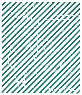 Jeff Elrod - Green Stripe Rodarte