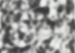 Jeff Elrod - Study For Echo (B/W)