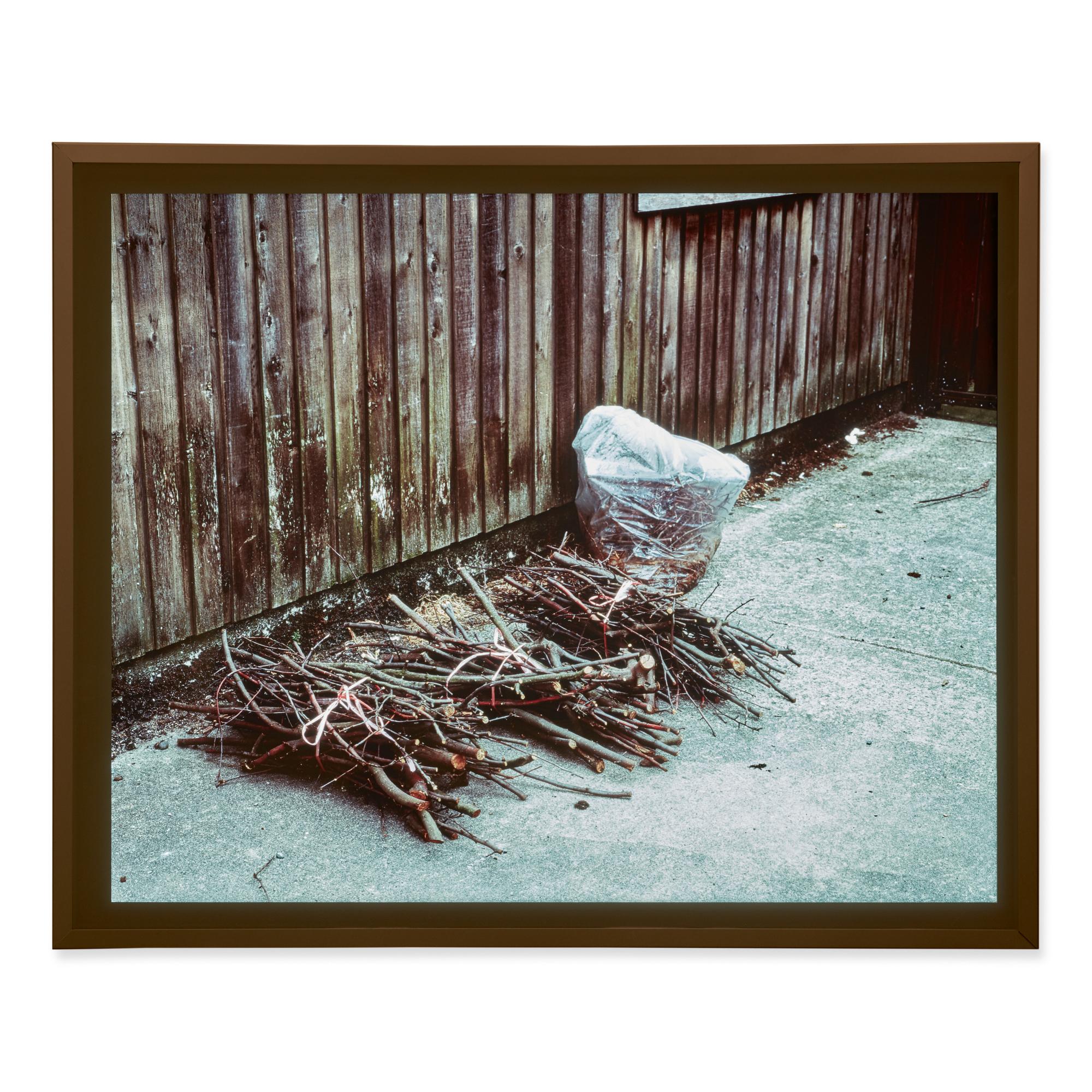 Jeff Wall - Chuttings