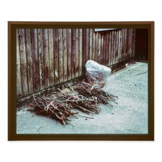 Jeff Wall - Chuttings