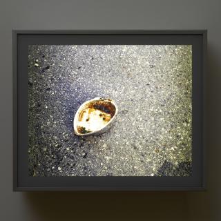 Jeff Wall - Peas And Sauce