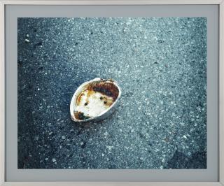 Jeff Wall - Peas And Sauce