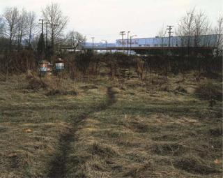 Jeff Wall - The Crooked Path