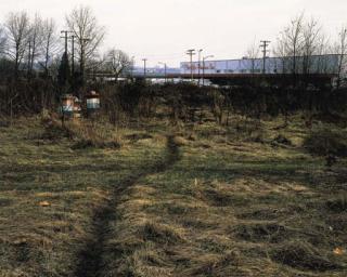 Jeff Wall - The Crooked Path