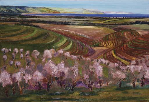 Jeffrey T Makin - Almond Blossom