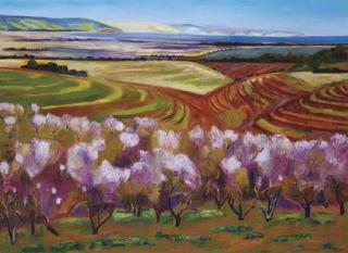 Jeffrey T Makin - The Fleurieu Peninsula