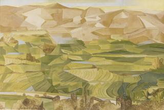 Jehangir Sabavala - Rice Fields, Palni Hills - Ii