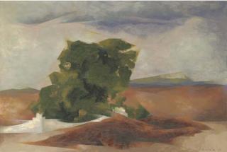 Jehangir Sabavala - The Tree