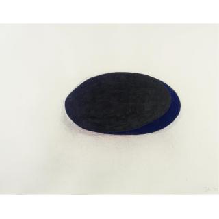 Jene Highstein - Untitled