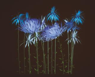 Jennifer Steinkamp - Dance Hall Girl 11