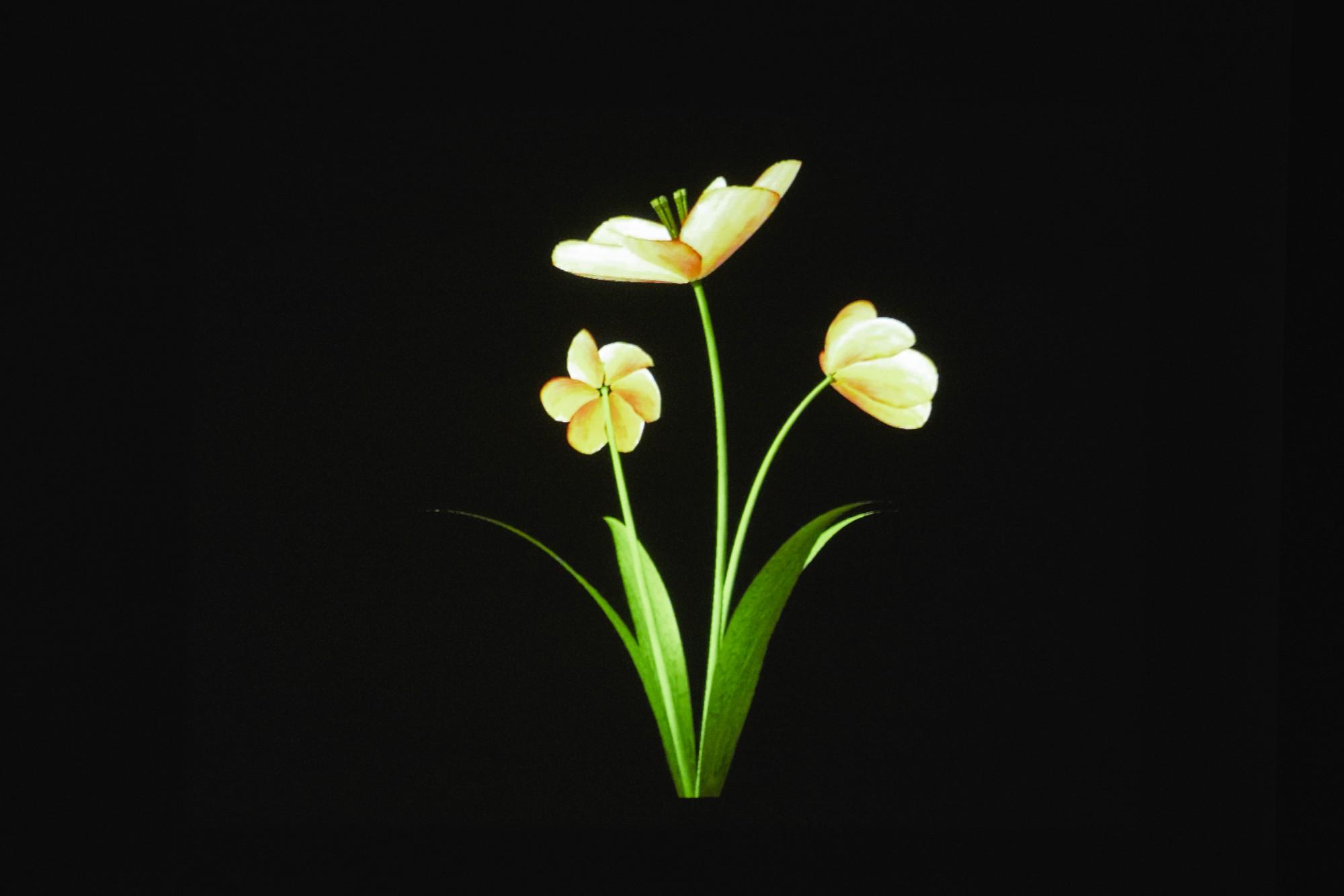 Jennifer Steinkamp - Dance Hall Girl 2