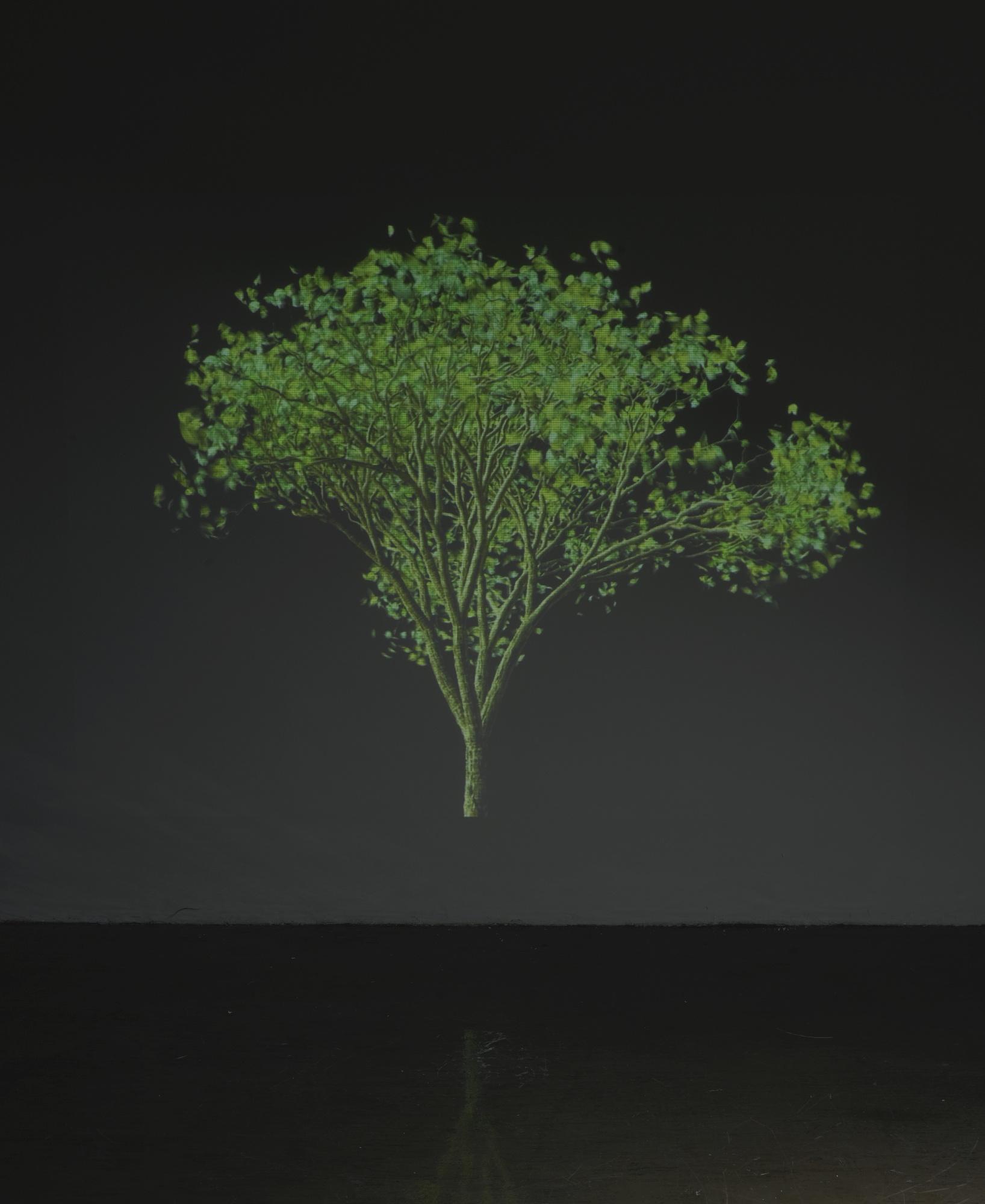 Jennifer Steinkamp - Dervish 0