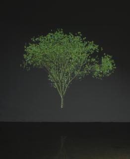 Jennifer Steinkamp - Dervish 0