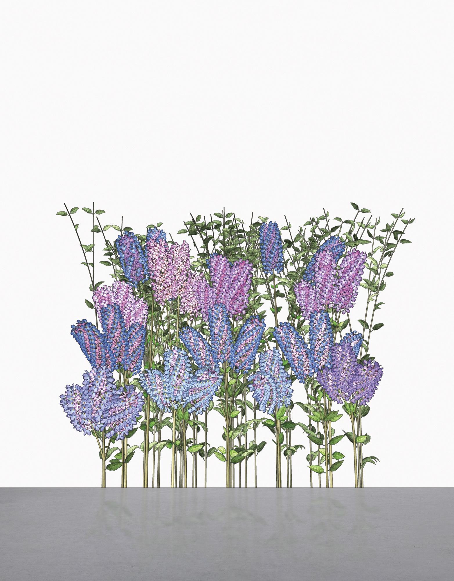 Jennifer Steinkamp - Hurdy Gurdy Man (Lilac)