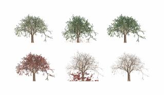 Jennifer Steinkamp - Judy Crook