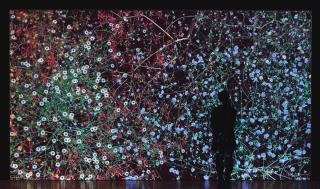 Jennifer Steinkamp - Madame Curie 2