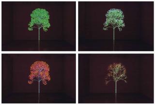 Jennifer Steinkamp - Mike Kelley 10