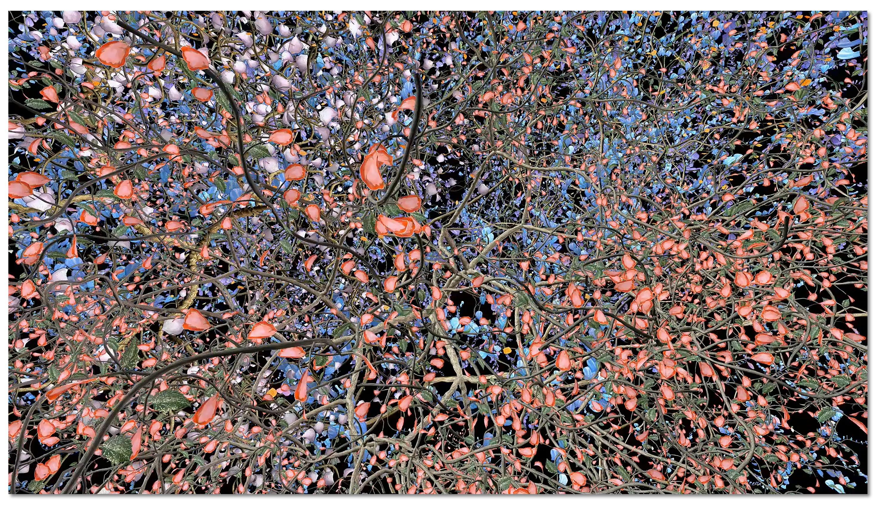 Jennifer Steinkamp - Orbit 6