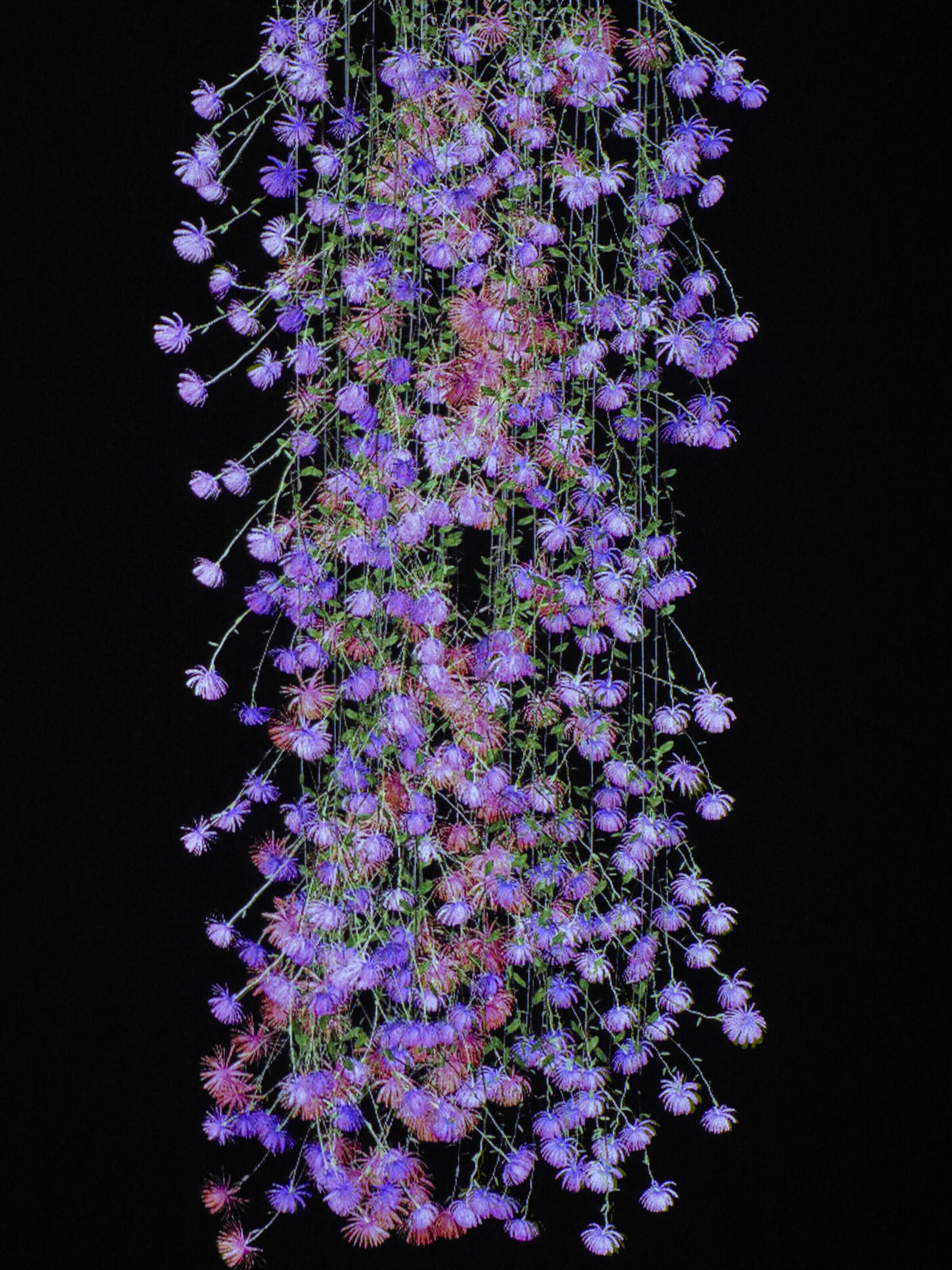 Jennifer Steinkamp - Rapunzel 8