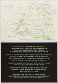 Jenny Holzer - Black Garden