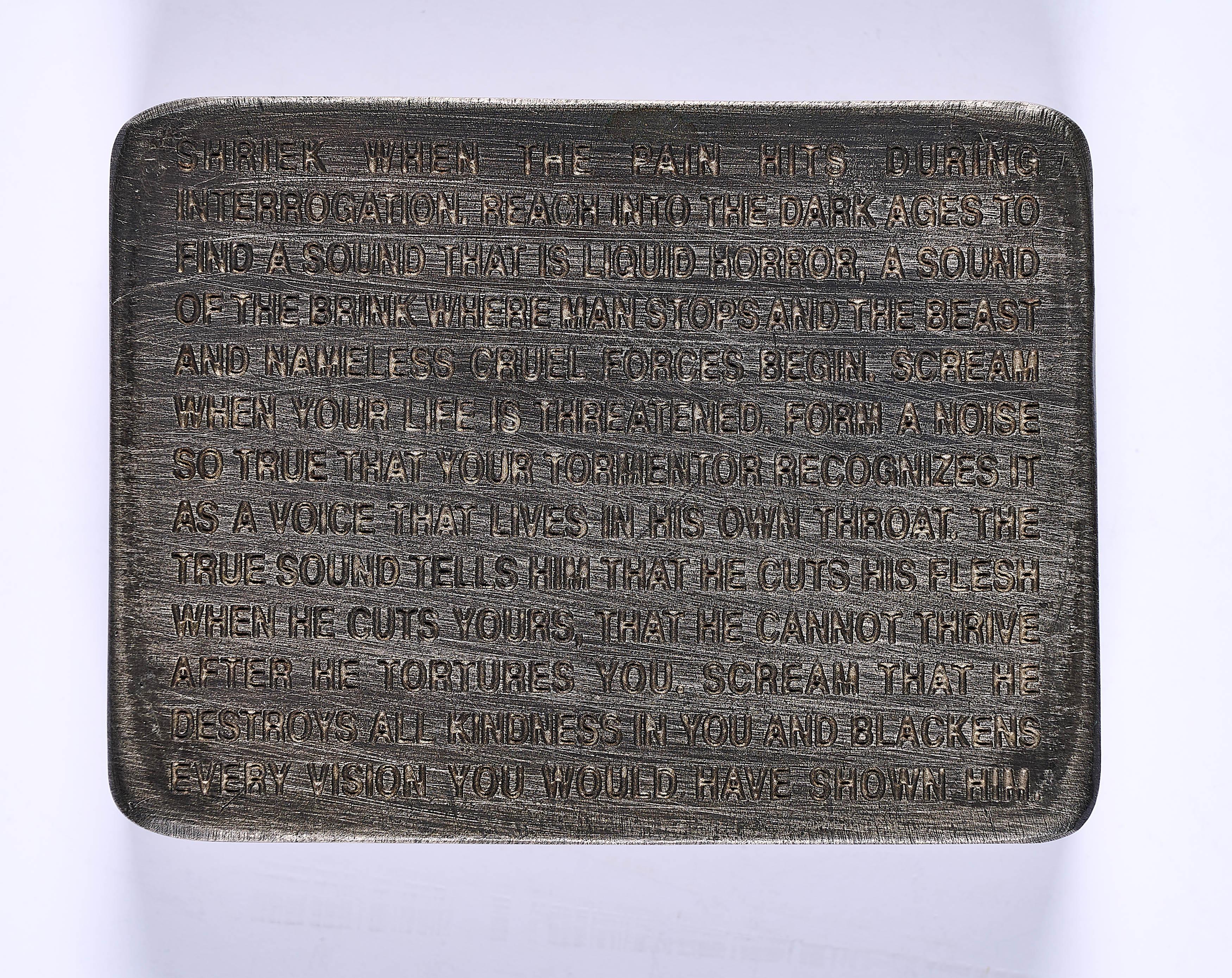 Jenny Holzer - Inflammatory Essays: Shriek When the Pain Hits During Interrogation.