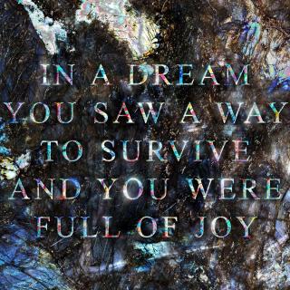 Jenny Holzer - Present