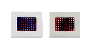 Jenny Holzer - Purple Truisms Survival; Pink Truisms