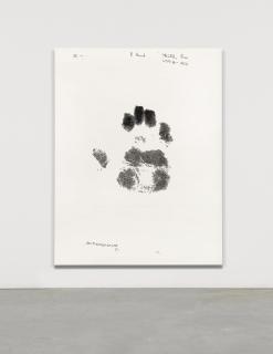 Jenny Holzer - Right Hand