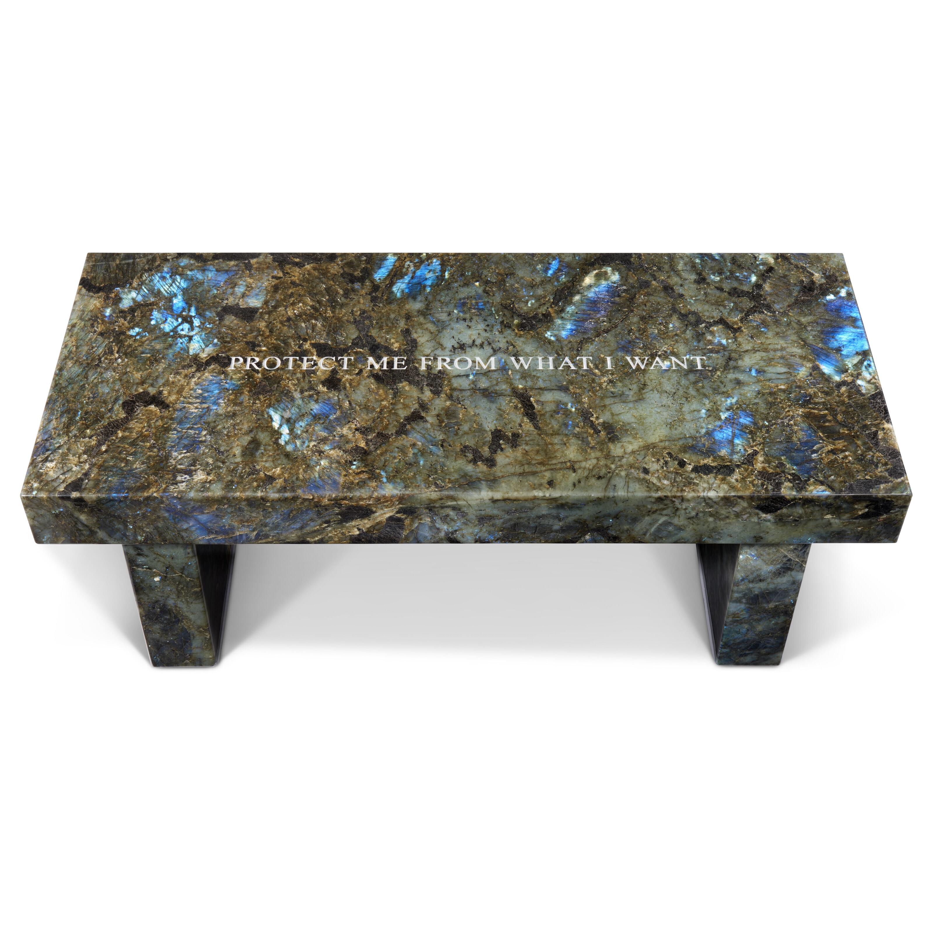 Jenny Holzer - Survival: Protect me...